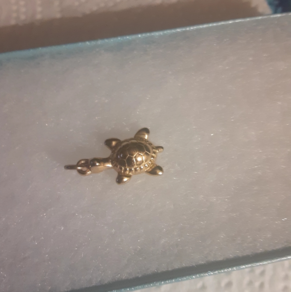 Tiny Turtle Charm
